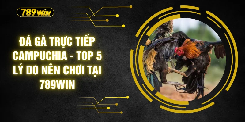 Đá Gà Trực Tiếp Campuchia - Top 5 Lý Do Nên Chơi Tại 789WIN 4 Đá Gà Trực Tiếp Campuchia - Top 5 Lý Do Nên Chơi Tại 789WIN