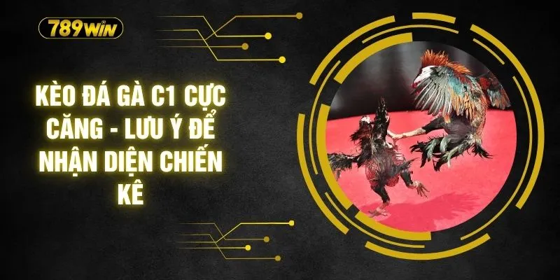 Kèo Đá Gà C1 Cực Căng - Lưu Ý Để Nhận Diện Chiến Kê 3 Kèo Đá Gà C1 Cực Căng - Lưu Ý Để Nhận Diện Chiến Kê