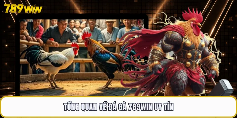 Tổng quan về đá gà 789WIN uy tín